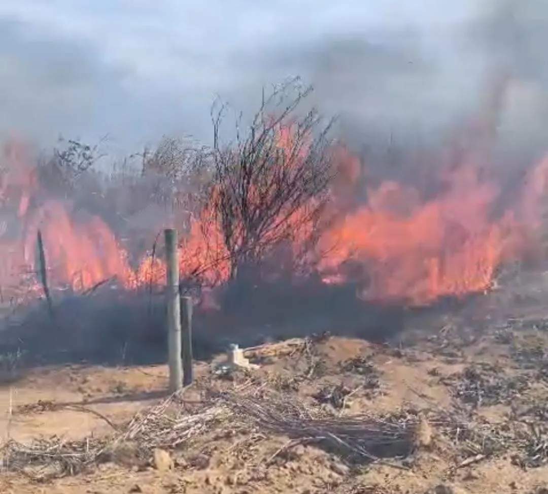 Controlado incêndio que destruiu 40 hectares de vegetação em Marataízes
