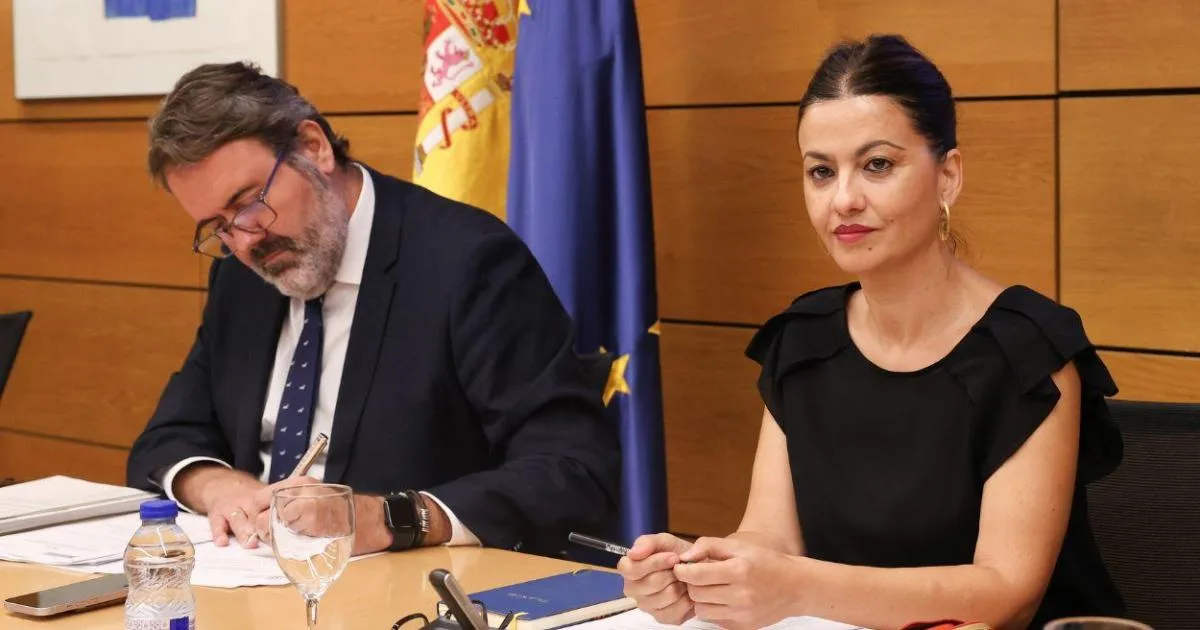 La Conferencia Sectorial de Infancia aprueba inversiones para los menores migrantes pese al boicot de PP y Vox