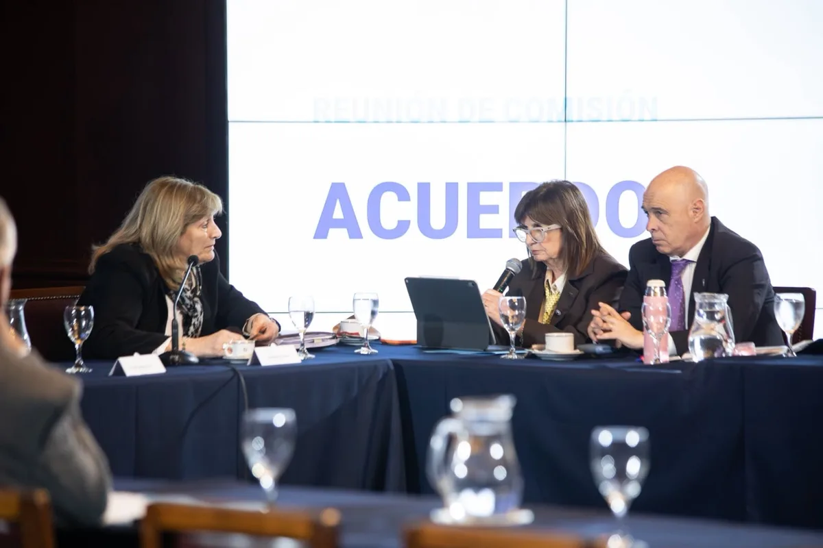 Patricia Bullrich se diferenció del Gobierno por el pliego de la fiscal del caso Chocobar: “Va a tener mi voto negativo”
