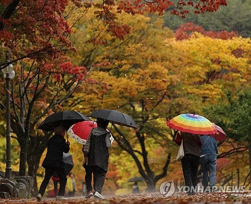 전북 오전부터 비…군산·고창·부안 강풍주의보