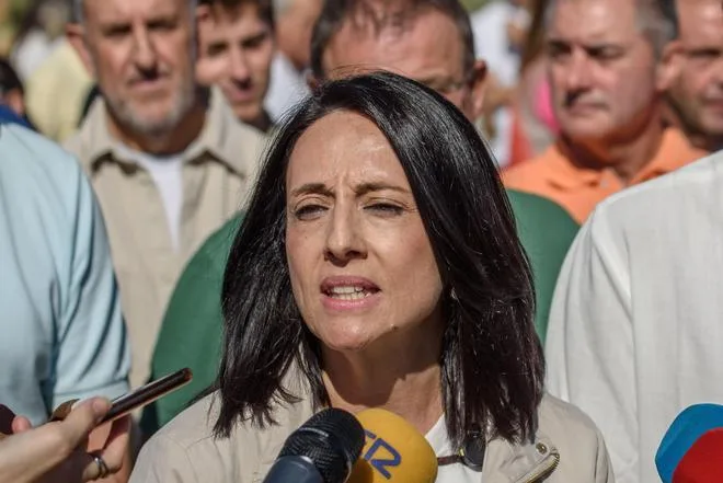 PSOE y Frente Amplio se reúnen este domingo para estudiar si concurren juntos al Senado