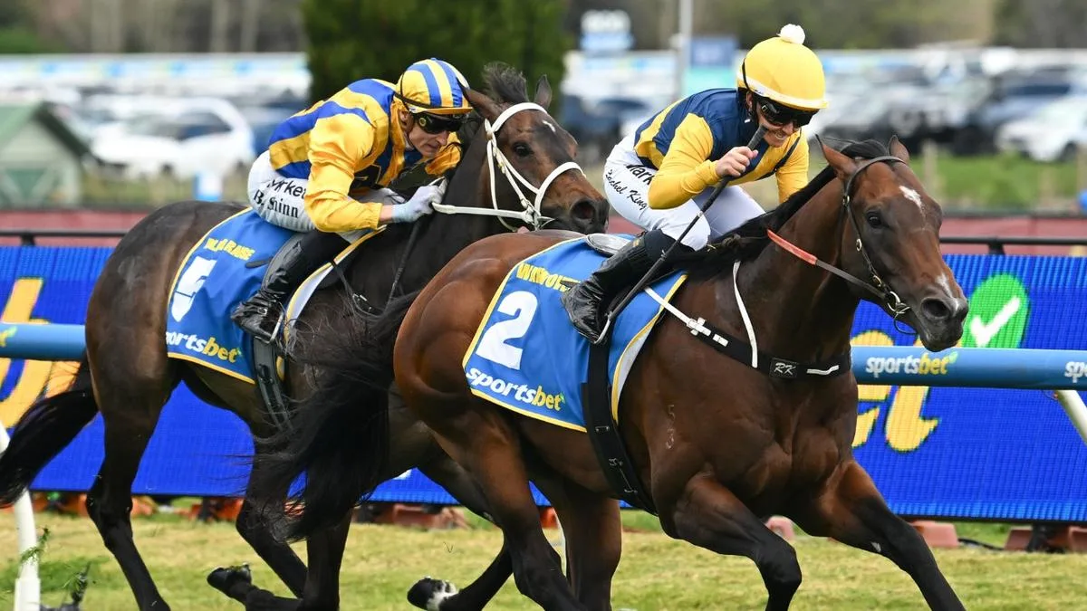 Blind Raise trainer Trent Busuttin snubs ‘sensible’ choice for ‘very rare’ tilt at Cox Plate