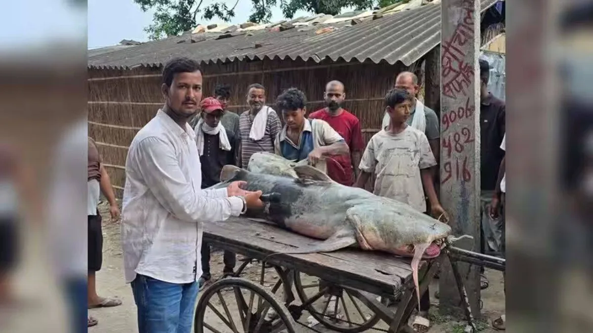 Nepal floods bring 'unusual' fish to Bihar, govt warns people not to eat or sell them