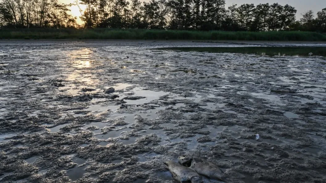 Face à une sécheresse record, le Nord et le Pas-de-Calais étendent les mesures de restriction d'eau