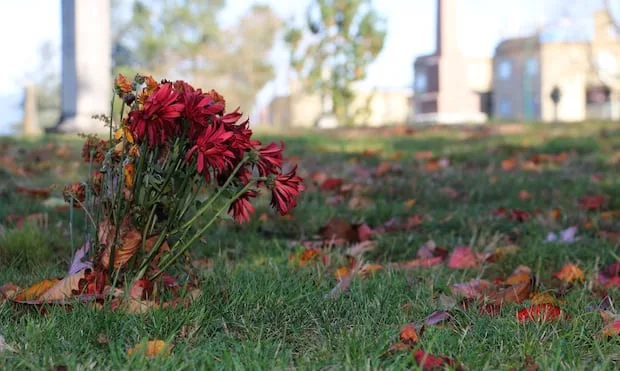 How AI grief bots are allowing people to commune with the dead