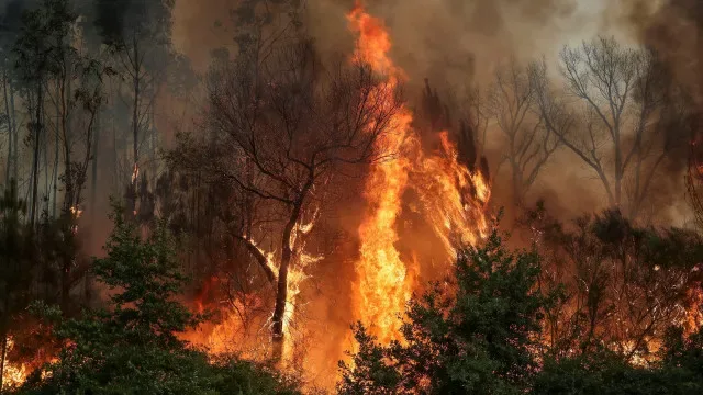 Incêndio no Montesinho combatido por mais de 100 operacionais