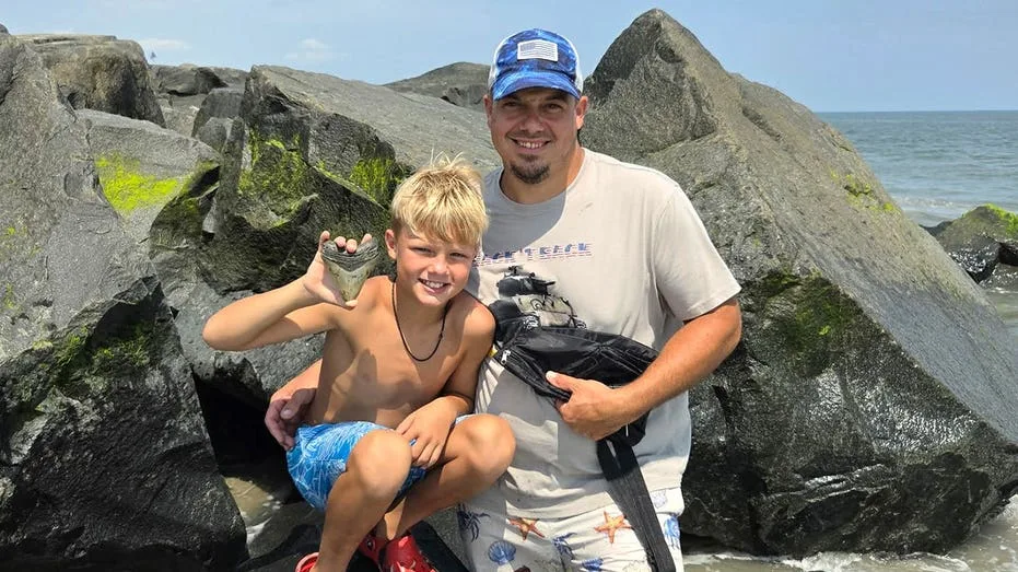 Shocking prehistoric discovery on NJ beach '100%' came from colossal ancient predator