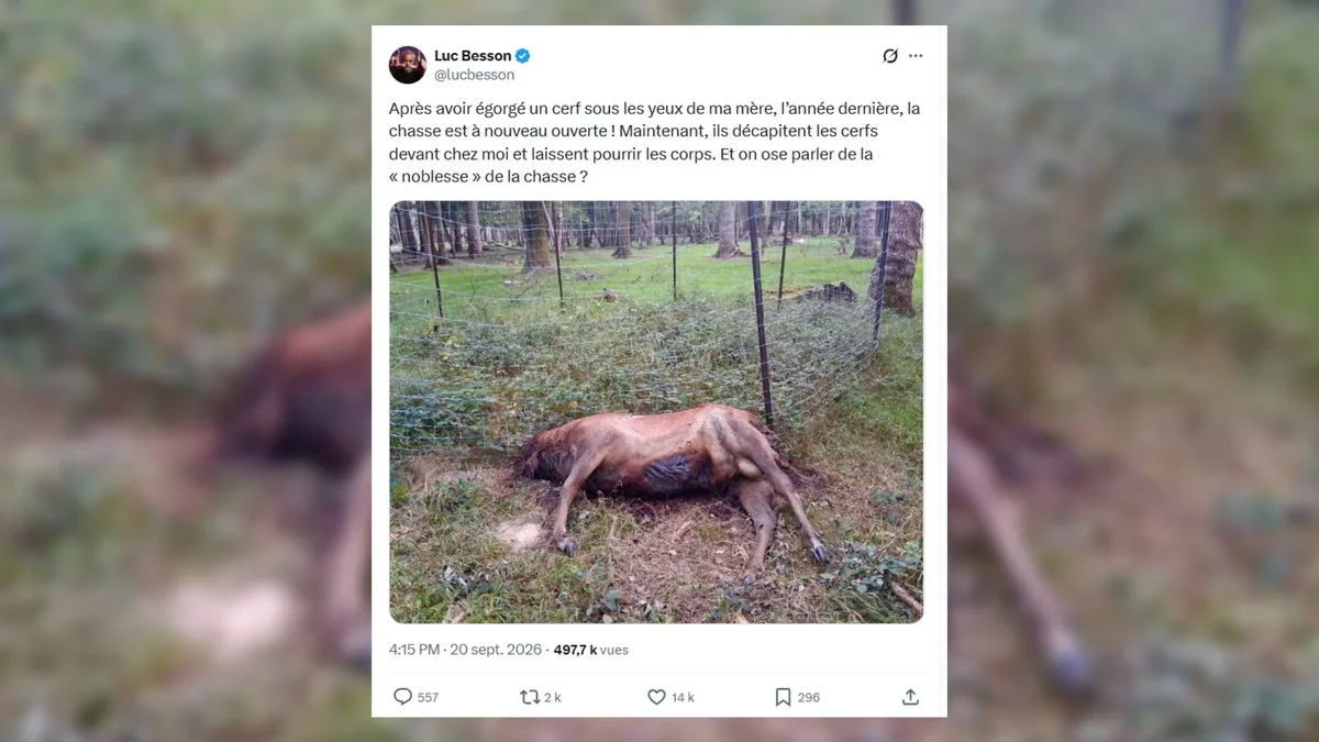 "Les chasseurs incriminés n'ont rien à se reprocher": la fédération de l'Orne réagit aux accusations de Luc Besson après la découverte d'un cerf mort devant chez lui dans l'Orne