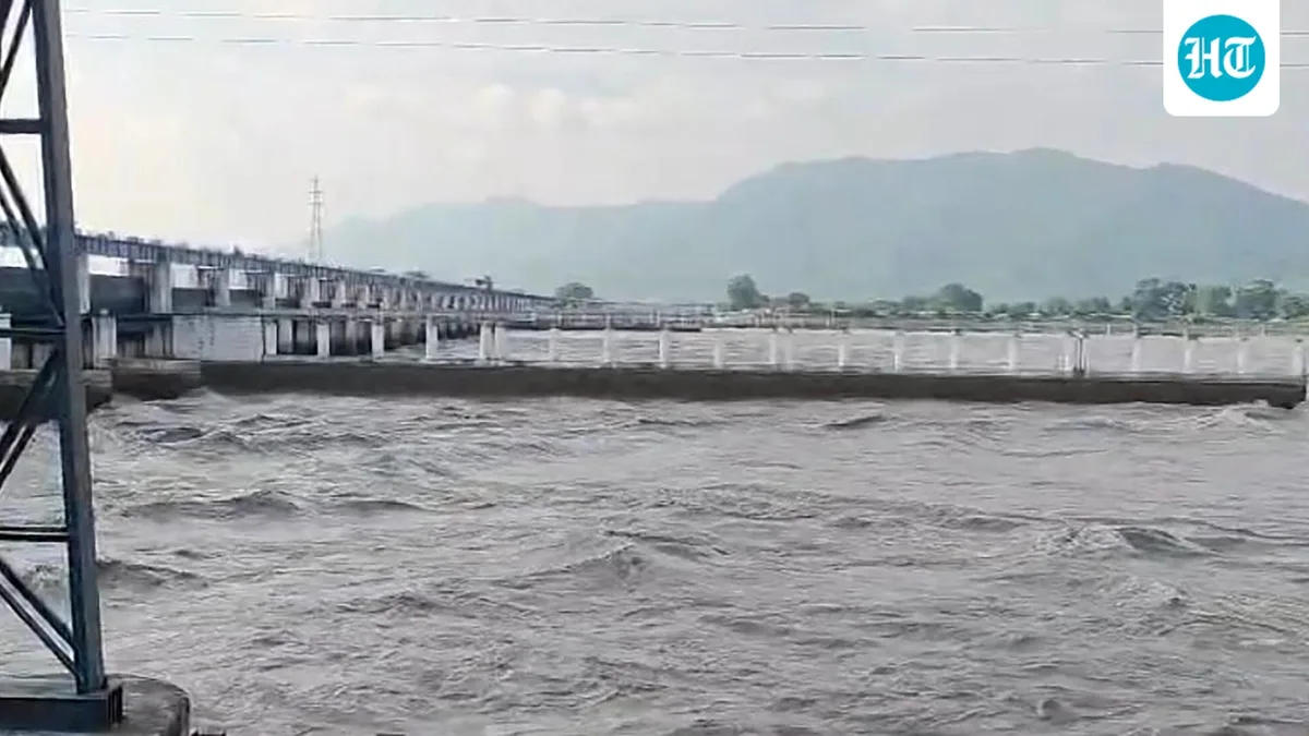 LPG cylinders, tyres, and wood: Debris from Nepal floods choke Gandak river in UP