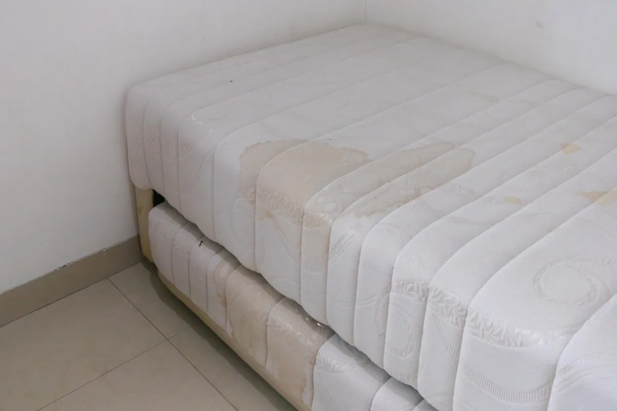 Nunca higienizou o colchão? Sujeira acumulada pode afetar a saúde