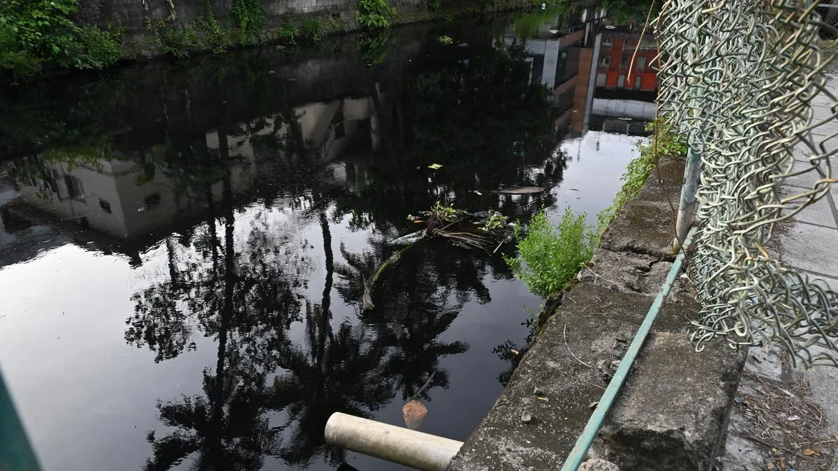Rights panel orders authorities to address safety concerns over Thevara-Perandoor Canal in Keralam’s Kochi