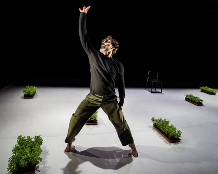 Dance Is Not for Us review – desire and defiance as one revolutionary mover sweats it all out