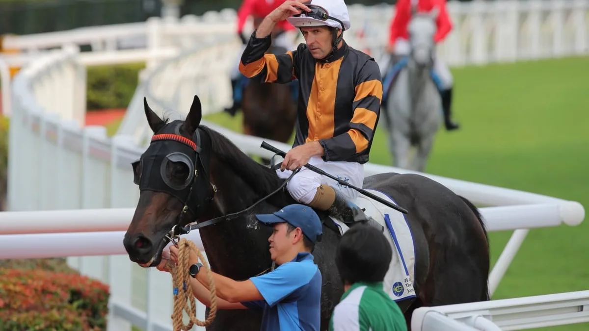Top jockey Hugh Bowman weighs up surgery v cortisone injection to repair hip labral tear