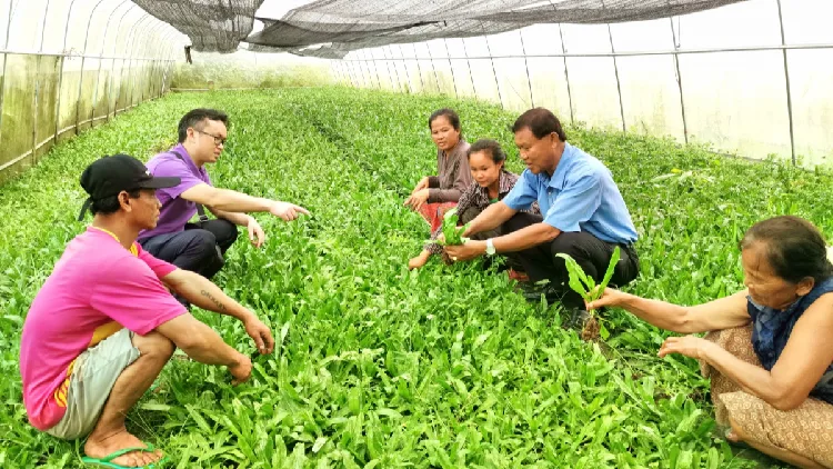 Five years on, China's GDI turns UN's development goals into action