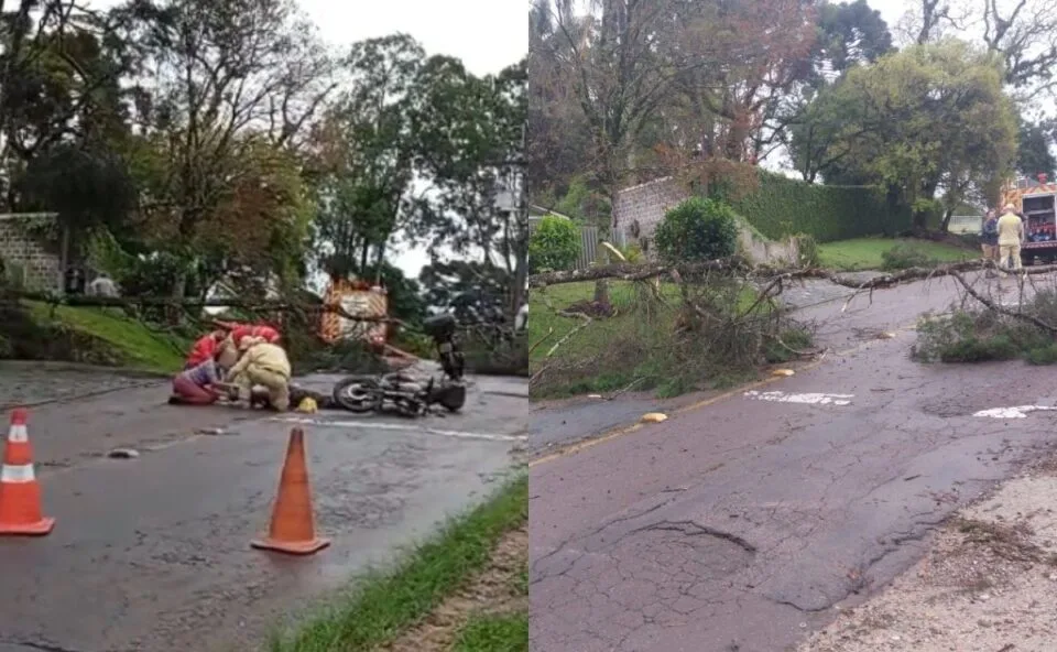 Árvore cai sobre motocicleta durante atendimento dos bombeiros em Curitiba; homem de 60 anos sofre parada cardíaca