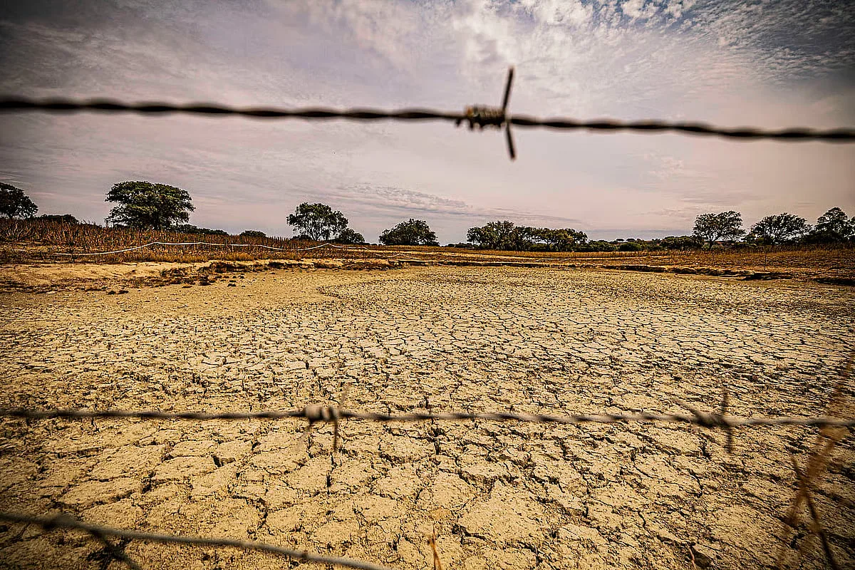 ONU prevê um El Niño "muito forte" com possível duração até fevereiro de 2027