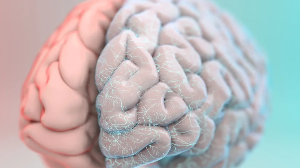 Un avance muy esperanzador: un implante cerebral traduce a la vez palabras y gestos de personas con parálisis