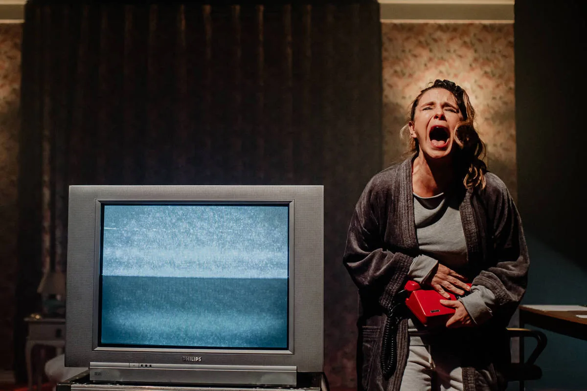 Livro de Annie Ernaux é adaptado para o teatro em peça que estreia em SP