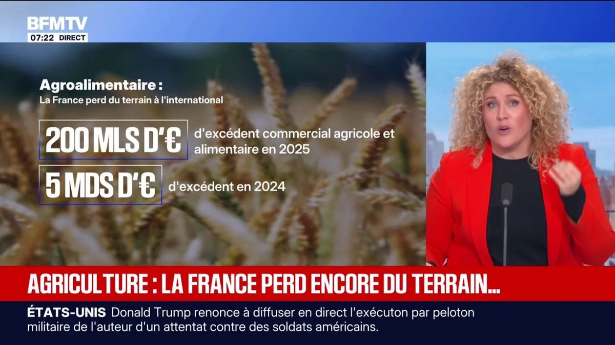 Agroalimentaire: l'excédent commercial agricole et alimentaire de la France tombe à 200 millions d'euros en 2025, un niveau historiquement bas