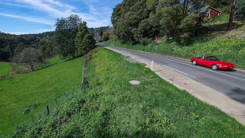 My suburb transformed our lives. Yet people don’t believe it’s real