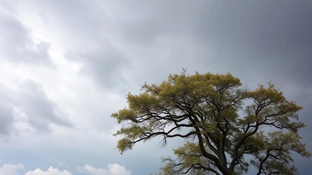 Hay alerta amarilla por viento para este martes 25 de agosto en San Luis: las zonas afectadas