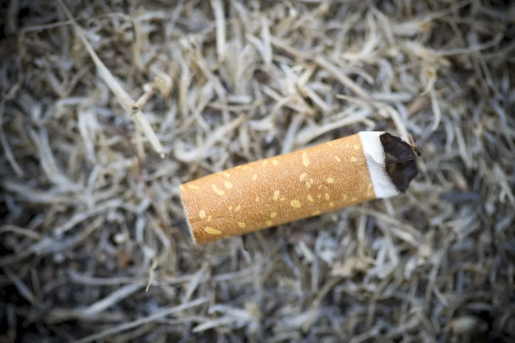 Incendies : le mégot, monstre médiatique, nain statistique