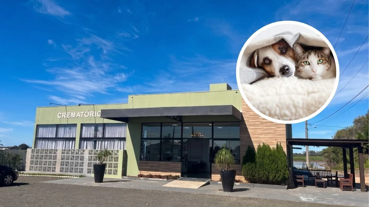 Carinho no adeus: nova capela exclusiva para velório de cães e gatos será instalada em SC pelo grupo Vaticano