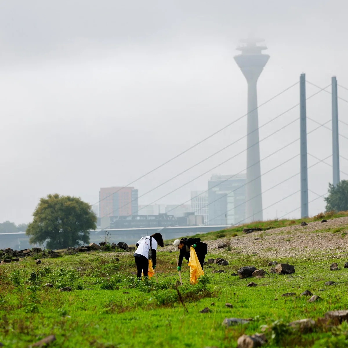 Deutschland - "Rhine Clean Up": 40.000 Freiwillige säubern Flussufer