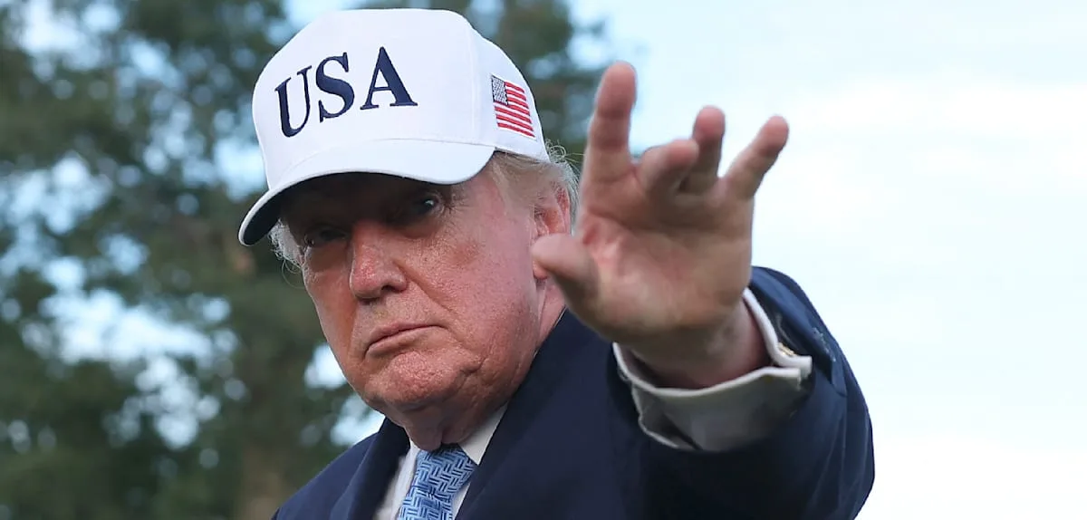 430 Bäume an einem Tag gefällt – doch jetzt wird Trump gestoppt