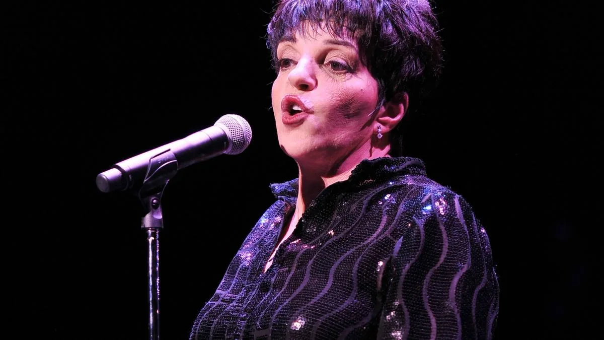 Liza Minnelli recalls 'self-medicating to foggy perfection' ahead of first rehab stint