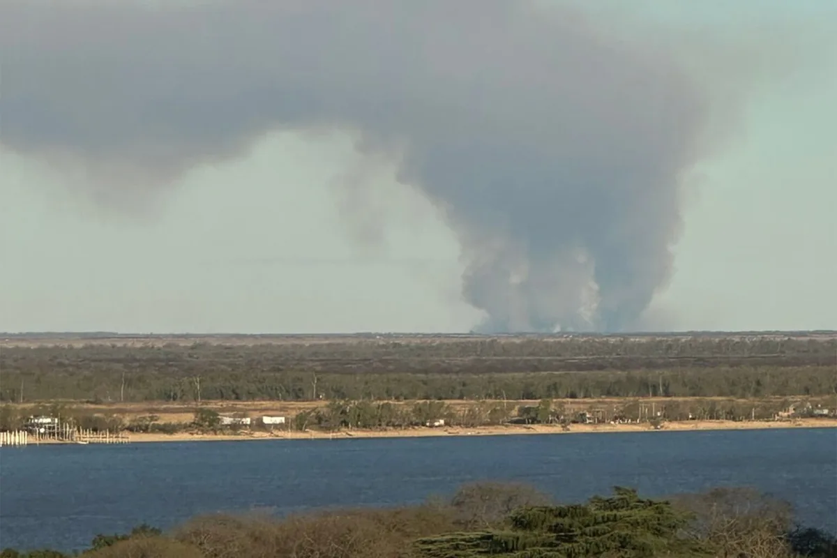 El humo volvió al Paraná: focos de incendio en las islas reavivan el fantasma de la crisis ambiental en los humedales