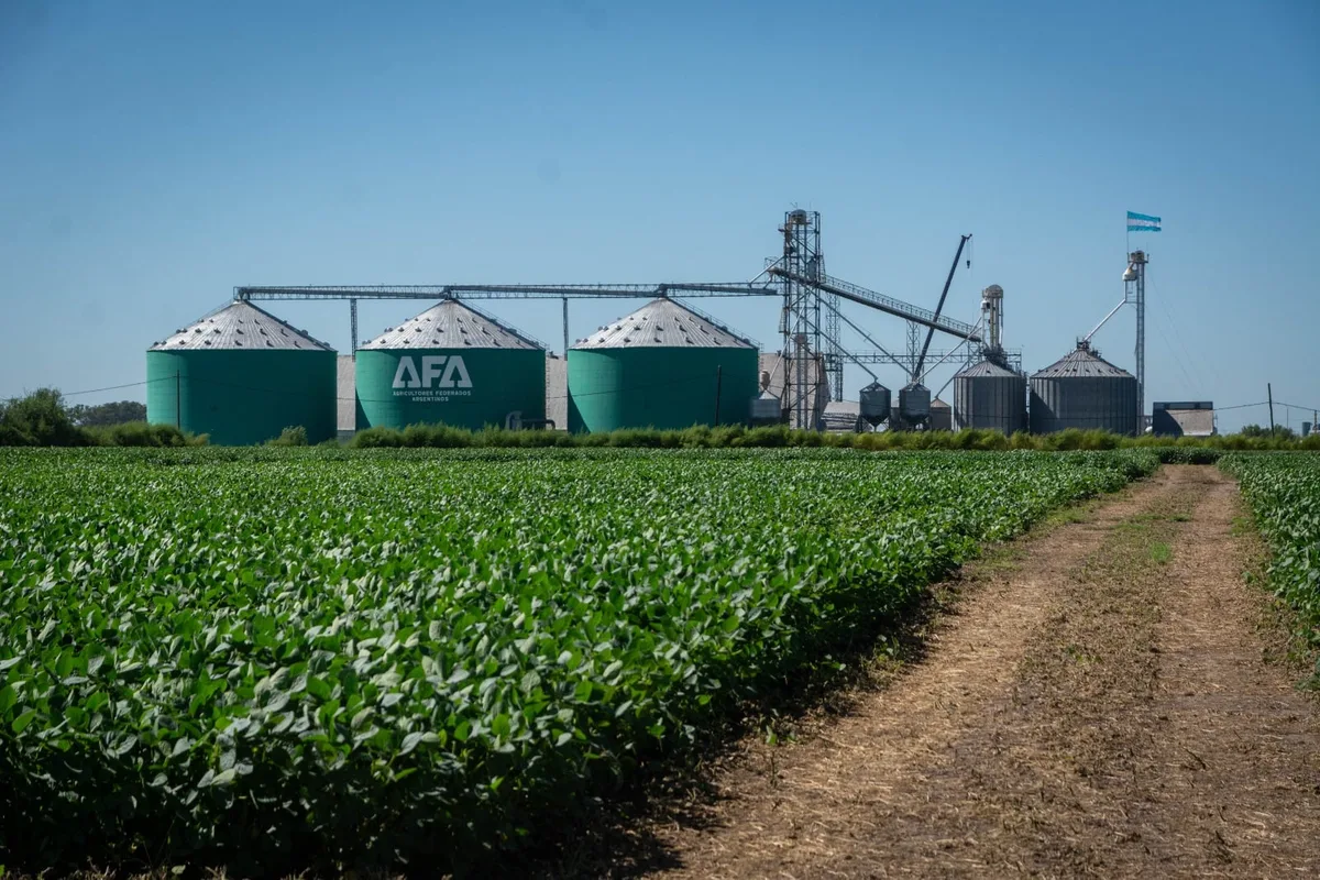 Factura US$2500 millones: una cooperativa agrícola creó un fondo de US$1 millón para financiar proyectos de jóvenes productores
