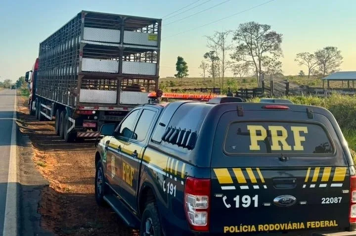 PRF flagra caminhoneiro embriagado após denúncias na BR-317, em Xapuri
