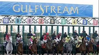 Este viernes abre el Sunshine Meet de Gulfstream Park