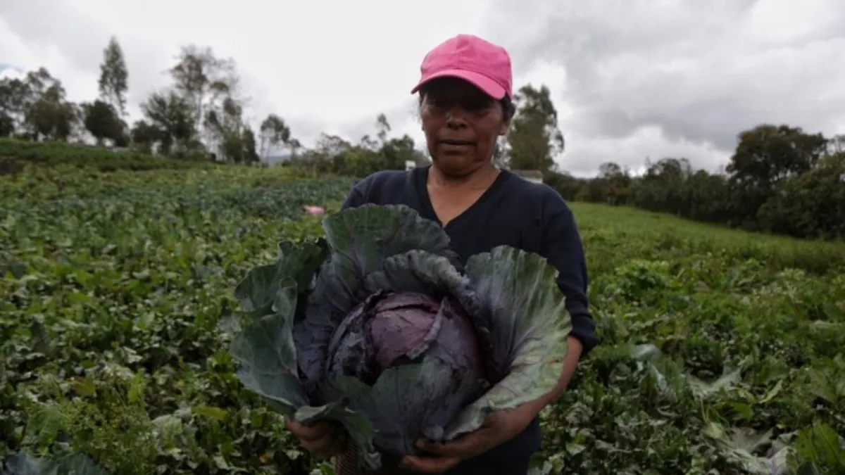 Gobierno De la Espriella elimina restricciones al uso del suelo rural en cinco municipios de Cundinamarca: qué pasará con las tierras