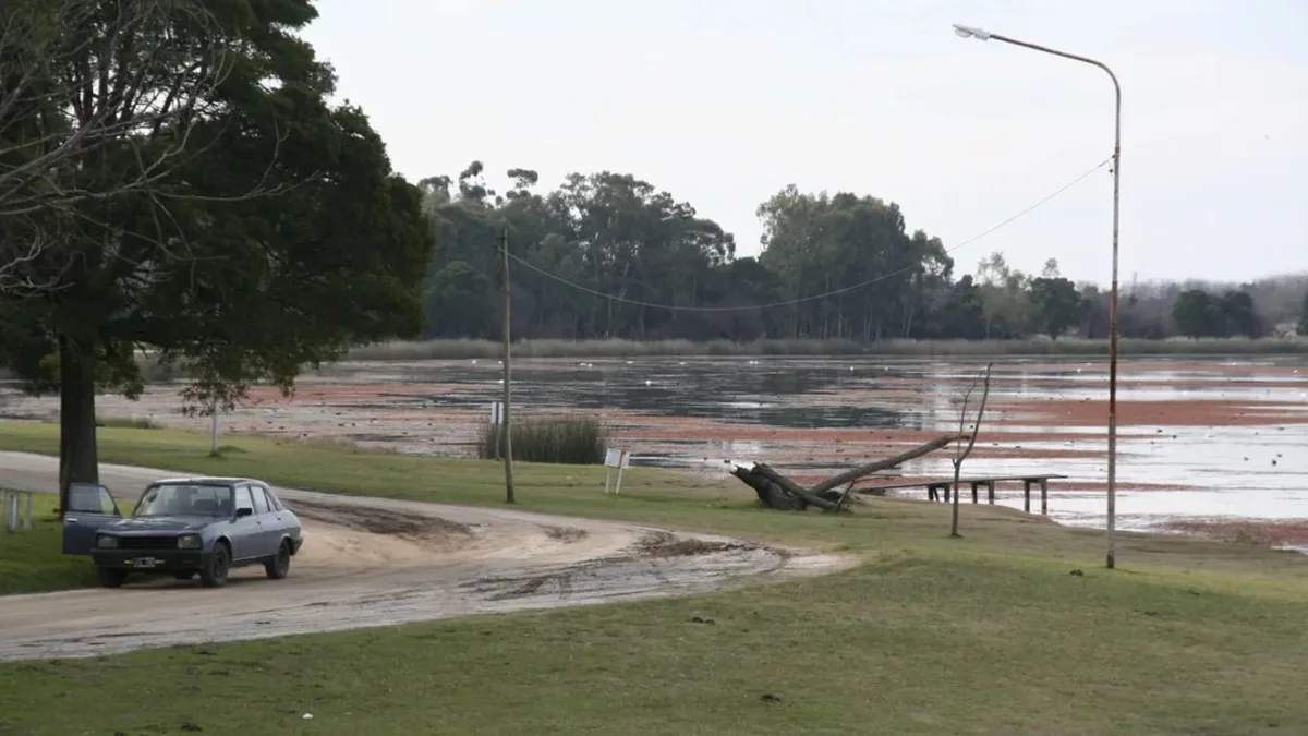 Sembraron 30.000 pejerreyes en una laguna de Buenos Aires: está a 175 kilómetros de CABA y busca recuperar el turismo