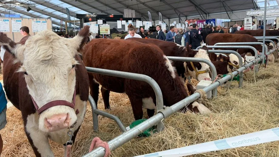 Nombre de visiteurs, d'exposants, de nouveautés : l'édition de tous les records pour le Sommet de l'Elevage