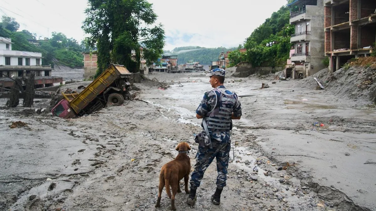Hydel plant in Nepal feeding power to India among several units hit by flash floods