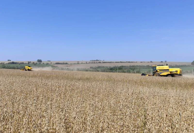 Recuperação judicial no agro cresce 22% e MS soma 38 pedidos