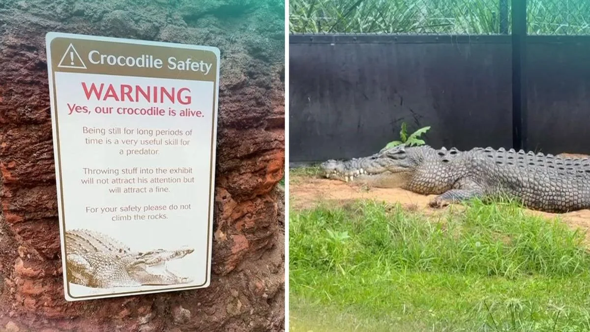 WA’s top cop says teen lucky to be alive after Perth Zoo croc allegedly taunted and hit