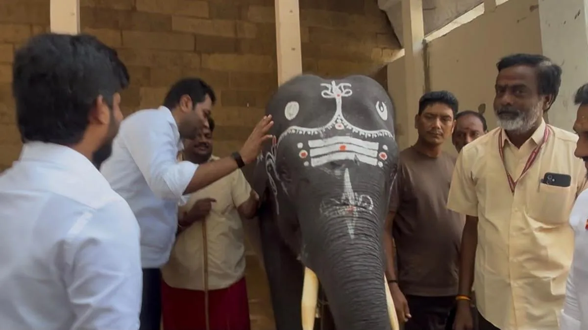 Arunachaleswarar temple elephant in Tiruvannamalai named ‘Namasivayam’