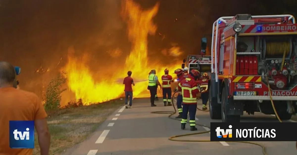 "Se fosse de noite, morríamos aqui todos como sardinhas assadas". Seis bombeiros feridos em incêndio em Coimbra