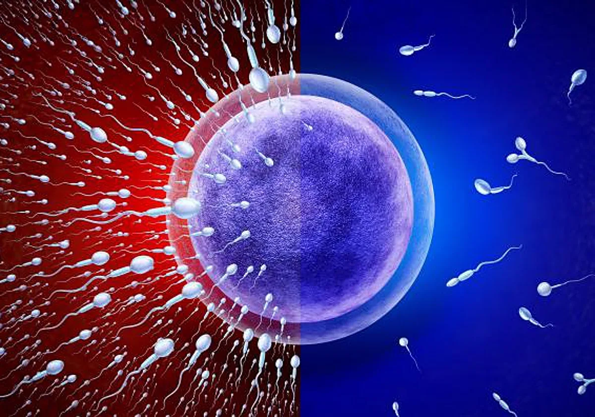 Ocho consejos de una experta en fertilidad para mejorar la calidad de tu semen