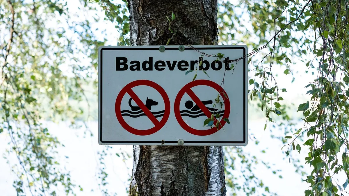 See betroffen: Algenblüte – Stadt Offenburg spricht Badeverbot aus