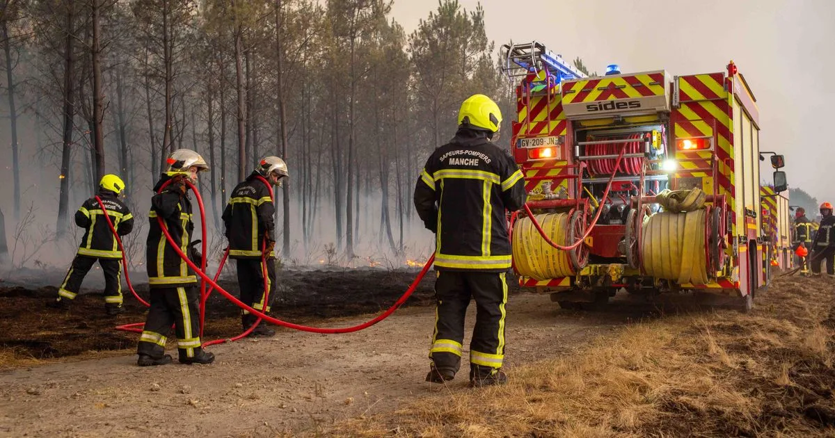 Après les feux record de cet été et sur fond de grève des sapeurs-pompiers, une task force parlementaire attendue de pied ferme