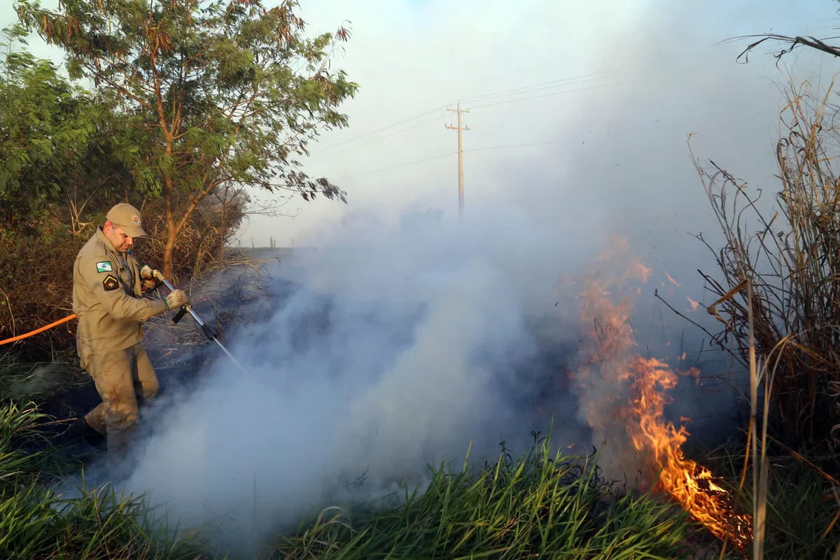 Paraná está com risco de moderado a alto para incêndios florestais
