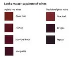 Sorry, wine snobs! Eco-friendly hybrid grapes score just as well as classic reds - despite long-standing doubts over their appearance