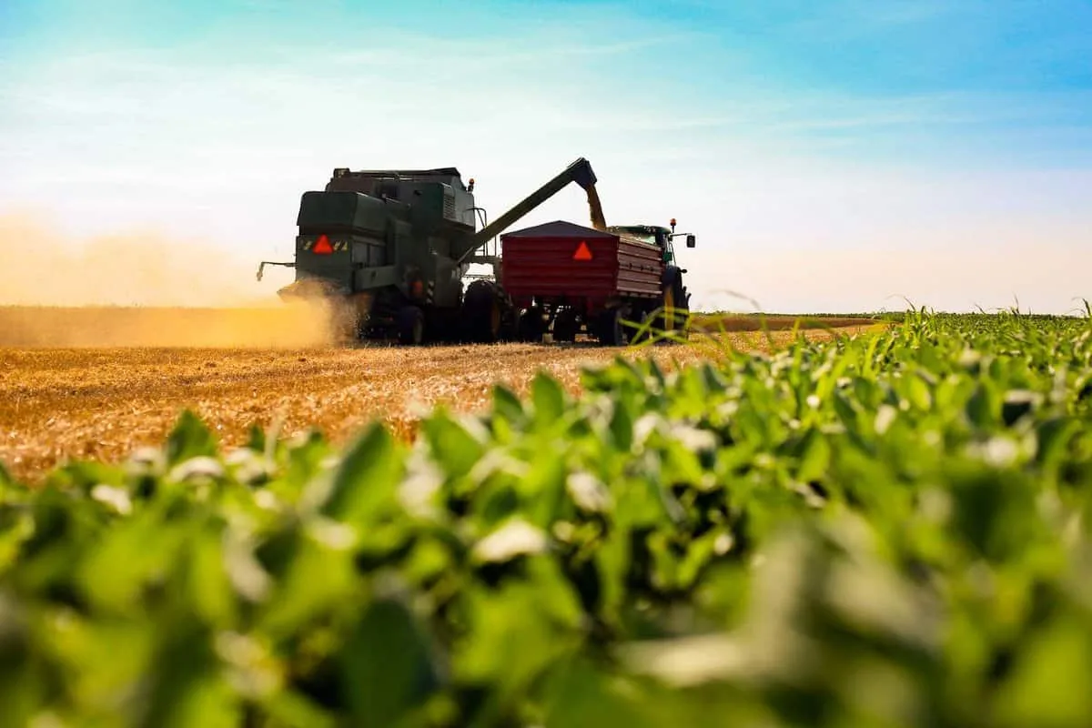 Agro do Acre chega a R$ 4,9 bilhões e muda de perfil