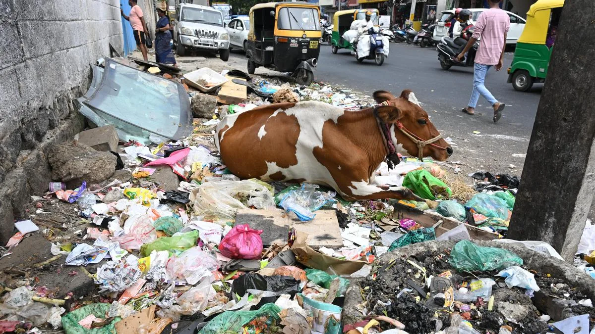 Bengaluru: Minister gives GBA August 30 deadline to clear waste, encroachments
