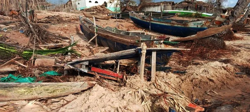 ROVING REPORTERS: Ducking disaster — what storm-battered Madagascar teaches us about conservation resilience